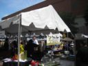 Taste of Arlington 2010