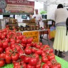 Scenes from the Freshfarm Market in Crystal City Scenes from the Freshfarm Market in Crystal City
