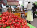 Scenes from the Freshfarm Market in Crystal City