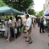 Scenes from the Freshfarm Market in Crystal City Scenes from the Freshfarm Market in Crystal City