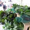 Scenes from the Freshfarm Market in Crystal City Scenes from the Freshfarm Market in Crystal City