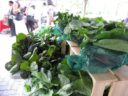 Scenes from the Freshfarm Market in Crystal City
