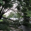 IMG_3933-720x540