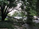 IMG_3933-720x540