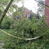 IMG_3934-720x540