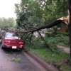IMG_3957-720x540
