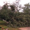 IMG_3972-720x540