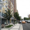 The 1400 block of Fern Street The 1400 block of Fern Street