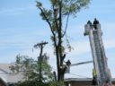 A tree trimmer is rescued by the Arlington Fire Department