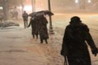 Snowy scene along Columbia Pike 1/26/11
