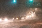 Snowy scene along Columbia Pike 1/26/11