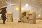 Snowy scene along Columbia Pike 1/26/11