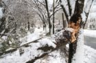 Snowy scenes around North Arlington 1/27/11