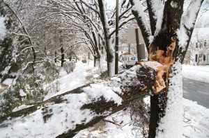 Snowy scenes around North Arlington 1/27/11