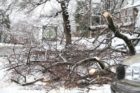 Snowy scenes around North Arlington 1/27/11
