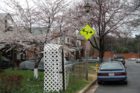 Scenes around Foxcroft Heights