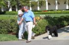 "Bo" at the 2011 White House Easter Egg Roll