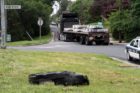 An SUV and a tractor trailer ran off the road near the intersection of Route 50 and S. Manchester Street