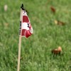 Authorities are investigating a series of flag burnings in North Arlington Authorities are investigating a series of flag burnings in North Arlington