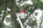 Destruction caused by a "macroburst" storm that hit parts of North Arlington on July 3, 2011