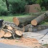 Destruction caused by a "macroburst" storm that hit parts of North Arlington on July 3, 2011 Destruction caused by a "macroburst" storm that hit parts of North Arlington on July 3, 2011