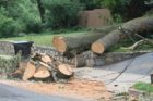 Destruction caused by a "macroburst" storm that hit parts of North Arlington on July 3, 2011