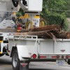 Destruction caused by a "macroburst" storm that hit parts of North Arlington on July 3, 2011 Destruction caused by a "macroburst" storm that hit parts of North Arlington on July 3, 2011