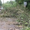 Destruction caused by a "macroburst" storm that hit parts of North Arlington on July 3, 2011 Destruction caused by a "macroburst" storm that hit parts of North Arlington on July 3, 2011