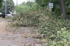 Destruction caused by a "macroburst" storm that hit parts of North Arlington on July 3, 2011