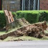 Destruction caused by a "macroburst" storm that hit parts of North Arlington on July 3, 2011 Destruction caused by a "macroburst" storm that hit parts of North Arlington on July 3, 2011