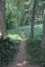 A bike/pedestrian underpass connecting the Columbia Island Marina and the LBJ Memorial Grove with the Mt. Vernon Trail is now open