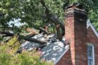 A tree came crashing through a roof on 24th Street and N. Wakefield Street