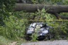 A car damaged by a fallen oak tree on N. Quantico Street and 18th Street
