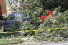 Cars crushed by a fallen tree on N. Ohio Street