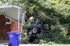 A tree split and crashed into two houses at S. Garfield Street and 2nd Street