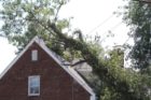 A tree split and crashed into two houses at S. Garfield Street and 2nd Street
