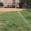 The softball field at Quincy Park used by the W-L girl's softball team