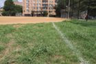 The softball field at Quincy Park used by the W-L girl's softball team
