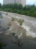 Four Mile Run east of Shirlington, notice the sidewalk in the upper left (courtesy photo)