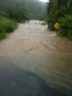 Four Mile Run trail west of Columbia Pike (courtesy photo)