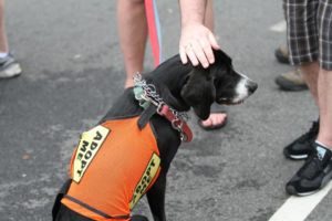 Scenes from Clarendon Day 2011