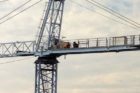Crane rescue in Rosslyn (courtesy photo)