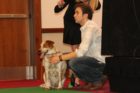 'Top Dog' contest in Crystal City