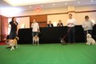 'Top Dog' contest in Crystal City