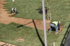 Photos taken at the new Long Bridge Park