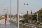 Photos taken at the new Long Bridge Park