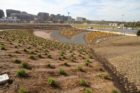 Photos taken at the new Long Bridge Park