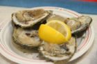 Oysters served at the Kiwani Oyster Feast