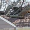 A tree came crashing through the roof of a home in Donaldson Run this morning