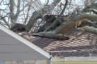 A tree came crashing through the roof of a home in Donaldson Run this morning